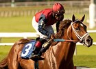 Smiling Tiger and Joel Rosario take the Triple Bend at Hollywood Park.
<br><a target="blank" href="http://www.bloodhorse.com/horse-racing/photo-store?ref=http%3A%2F%2Fpictopia.com%2Fperl%2Fgal%3Fprovider_id%3D368%26ptp_photo_id%3D9584537%26ref%3Dstory">Order This Photo</a>