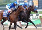 Indian Blessing (inside) is coming off a difficult victory in the Gallant Bloom. <br><a target="blank" href="http://www.bloodhorse.com/horse-racing/photo-store?ref=http%3A%2F%2Fpictopia.com%2Fperl%2Fgal%3Fprovider_id%3D368%26ptp_photo_id%3D8510917%26ref%3Dstory">Order This Photo</a>