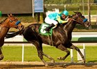 Mother Ruth is one of three for trainer Bob Baffert in the Las Flores.<br><a target="blank" href="http://www.bloodhorse.com/horse-racing/photo-store?ref=http%3A%2F%2Fpictopia.com%2Fperl%2Fgal%3Fprovider_id%3D368%26ptp_photo_id%3D9361161%26ref%3Dstory">Order This Photo</a>