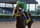 Wildcat Red<br><a target="blank" href="http://photos.bloodhorse.com/AtTheRaces-1/At-the-Races-2014/i-mpr29LV">Order This Photo</a>