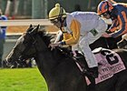 2011 Breeders' Cup Filly & Mare Turf winner Perfect Shirl<br><a target="blank" href="http://www.bloodhorse.com/horse-racing/photo-store?ref=http%3A%2F%2Fpictopia.com%2Fperl%2Fgal%3Fprovider_id%3D368%26ptp_photo_id%3D9728821%26ref%3Dstory">Order This Photo</a>