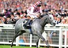 Lethal Force runs away with the Diamond Jubilee Stakes.<br><a target="blank" href="http://photos.bloodhorse.com/AtTheRaces-1/at-the-races-2013/27257665_QgCqdh#!i=2590081771&k=sGGK9Q9">Order This Photo</a>