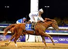 ESPN won the Media Eclipse Award its telecast of the Breeders' Cup Classic, won by Drosselmeyer.
<br><a target="blank" href="http://www.bloodhorse.com/horse-racing/photo-store?ref=http%3A%2F%2Fpictopia.com%2Fperl%2Fgal%3Fprovider_id%3D368%26ptp_photo_id%3D9729180%26ref%3Dstory">Order This Photo</a>
