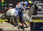 Sand Cove in the Steady Growth Stakes.