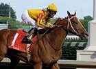 Curlin will enter stud in 2009 at Lane's End Farm.<br><a target="blank" href="http://www.bloodhorse.com/horse-racing/photo-store?ref=http%3A%2F%2Fpictopia.com%2Fperl%2Fgal%3Fprovider_id%3D368%26ptp_photo_id%3D4843854%26ref%3Dstory">Order This Photo</a>