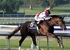 Royal Delta faces a small field in the Sabin Stakes. <br><a target="blank" href="http://photos.bloodhorse.com/BreedersCup/2012-Breeders-Cup/Ladies-Classic/26130180_8NMncD#!i=2191502782&k=b7kWKnf">Order This Photo</a>