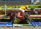 Kauai Katie cruises to victory in the Old Hat Stakes.<br><a target="blank" href="http://photos.bloodhorse.com/AtTheRaces-1/at-the-races-2013/27257665_QgCqdh#!i=2299492020&k=Q8FZvt5">Order This Photo</a>