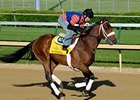 Optimizer at Churchill Downs.
<br><a target="blank" href="http://photos.bloodhorse.com/TripleCrown/2012-Triple-Crown/Works/22611108_LR3wcn#!i=1816037819&k=kCMn36p">Order This Photo</a>