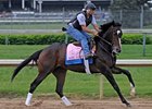 Rachel Alexandra at Churchill Downs on April 30, 2009.<br><a target="blank" href="http://www.bloodhorse.com/horse-racing/photo-store?ref=http%3A%2F%2Fpictopia.com%2Fperl%2Fgal%3Fprovider_id%3D368%26ptp_photo_id%3D8057488%26ref%3Dstory">Order This Photo</a>