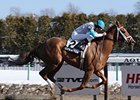 Life At Ten to Run At Gulfstream Sunday Life At Ten to Run At Gulfstream Sunday