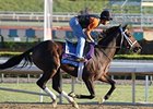 Fortify takes on undefeated Soft Falling Rain in the United Arab Emirates Two Thousand Guineas.<br><a target="blank" href="http://photos.bloodhorse.com/BreedersCup/2012-Breeders-Cup/Works/26130247_gxH6nS#!i=2183295704&k=f4HcnVB">Order This Photo</a>