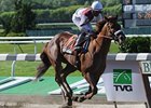 Fly Down<br><a target="blank" href="http://www.bloodhorse.com/horse-racing/photo-store?ref=http%3A%2F%2Fpictopia.com%2Fperl%2Fgal%3Fprovider_id%3D368%26ptp_photo_id%3D8950328%26ref%3Dstory">Order This Photo</a>