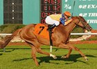 Zagora Primed for Jenny Wiley Zagora Primed for Jenny Wiley