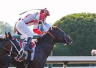 Sum of the Parts<br><a target="blank" href="http://photos.bloodhorse.com/AtTheRaces-1/at-the-races-2013/27257665_QgCqdh#!i=2810624364&k=qfPsDc5">Order This Photo</a>