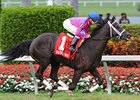 Here to Win comes home strong to win The Very One.<br><a target="blank" href="http://www.bloodhorse.com/horse-racing/photo-store?ref=http%3A%2F%2Fpictopia.com%2Fperl%2Fgal%3Fprovider_id%3D368%26ptp_photo_id%3D9818525%26ref%3Dstory">Order This Photo</a>