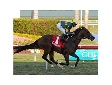 Duke of Homberg powers home in the Hallandale Beach at Gulfstream.<br><a target="blank" href="http://www.bloodhorse.com/horse-racing/photo-store?ref=http%3A%2F%2Fpictopia.com%2Fperl%2Fgal%3Fprovider_id%3D368%26ptp_photo_id%3D7752330%26ref%3Dstory">Order This Photo</a>