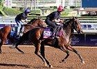 Filly Wind Fire Takes On Top Male Sprinters Filly Wind Fire Takes On Top Male Sprinters