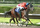 Local Favorite Cash Rules Takes Spend a Buck Local Favorite Cash Rules Takes Spend a Buck