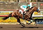 Paynter returns to stakes company in the San Diego.
