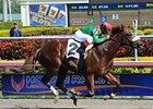 Cerro will start from the inside in the Native Dancer <br><a target="blank" href="http://photos.bloodhorse.com/AtTheRaces-1/at-the-races-2013/27257665_QgCqdh#!i=2337167084&k=fbLjfTL">Order This Photo</a>
