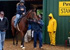 Big Brown at Pimlico May 16.<br><a target="blank" href="http://www.bloodhorse.com/horse-racing/photo-store?ref=http%3A%2F%2Fpictopia.com%2Fperl%2Fgal%3Fprovider_id%3D368%26ptp_photo_id%3D4529704%26ref%3Dstory">Order This Photo</a>