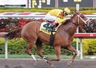 Game Face will meet rival Any Limit once again in the Vagrancy.<br><a target="blank" href="http://www.bloodhorse.com/horse-racing/photo-store?ref=http%3A%2F%2Fpictopia.com%2Fperl%2Fgal%3Fprovider_id%3D368%26ptp_photo_id%3D7466401%26ref%3Dstory">Order This Photo</a>