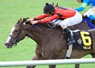 Volcat won the Virginia Oaks on July 21 at Colonial Downs.