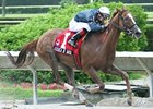 Eleven-time winner Jessica Is Back is the 5-2 morning line favorite in the Sixty Sails Handicap.