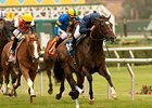 Mr. Commons rolls to victory in the Oceanside on opening day at Del Mar.<br><a target="blank" href="http://www.bloodhorse.com/horse-racing/photo-store?ref=http%3A%2F%2Fpictopia.com%2Fperl%2Fgal%3Fprovider_id%3D368%26ptp_photo_id%3D9603610%26ref%3Dstory">Order This Photo</a>