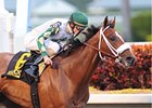 Mucho Macho Man