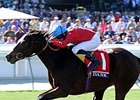 Dank won the 2013 Breeders' Cup Filly and Mare Turf.
