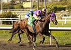 Love Theway Youare goes by heavy favorite Include Me Out to win the Vanity.