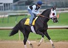 I Want Revenge in Bullet Work for Derby I Want Revenge in Bullet Work for Derby