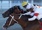 Hallway, who won the Dixie Poker Ace in January at Fair Grounds, is one of 2 for Heiligbrodt Racing Stable in the Louisiana Cup Turf Classic.