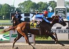 2009 Belmont Stakes winner Summer Bird<br><a target="blank" href="http://www.bloodhorse.com/horse-racing/photo-store?ref=http%3A%2F%2Fpictopia.com%2Fperl%2Fgal%3Fprovider_id%3D368%26ptp_photo_id%3D8205347%26ref%3Dstory">Order This Photo</a>