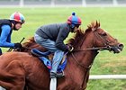 Animal Kingdom working at Keeneland on October 26.