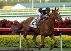 Ginger Punch could help move Frank Stronach to the lead ranking on the leading breeders list for the Breeders' Cup.