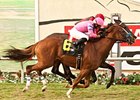 City to City wins the John C. Mabee Stakes.
