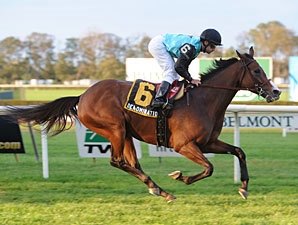 Denomination Heads Field for My Charmer Denomination Heads Field for My Charmer