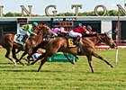 Rahystrada stretches for his third Arlington Handicap win.
