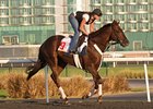 International Field Set for Dubai World Cup International Field Set for Dubai World Cup