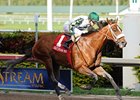 Mucho Macho Man Seeking Triumphant Return Mucho Macho Man Seeking Triumphant Return