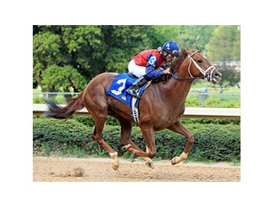 Smiling Tiger in the Count Fleet Handicap.