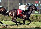 Valiant Girl upsets the My Charmer Stakes at Calder.