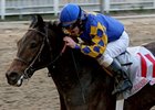Ron the Greek won the Lecomte Stakes on Jan. 23 at Fair Grounds.
