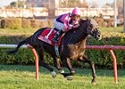Willcox Inn seeks his first victory outside of Illinois in the Hollywood Derby.