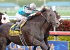 Giant Oak faces 6 in the New Orleans Handicap.<br><a target="blank" href="http://www.bloodhorse.com/horse-racing/photo-store?ref=http%3A%2F%2Fpictopia.com%2Fperl%2Fgal%3Fprovider_id%3D368%26ptp_photo_id%3D9395117%26ref%3Dstory">Order This Photo</a>