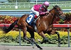 Hey Byrn was an easy winner of an entry level allowance race March 2 at Gulfstream Park.