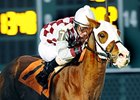 Acting Zippy won the John B. Connally Turf Handicap on January 30 at Sam Houston.