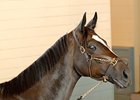 Zenyatta Assigned 129 For June 27 Vanity Zenyatta Assigned 129 For June 27 Vanity
